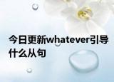 今日更新whatever引导什么从句