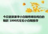 今日更新夏季小白鞋有哪些纯白的鞋款 1000元左右小白鞋推荐
