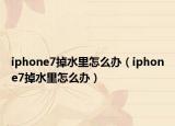 iphone7掉水里怎么办（iphone7掉水里怎么办）