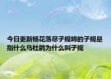 今日更新杨花落尽子规啼的子规是指什么鸟杜鹃为什么叫子规