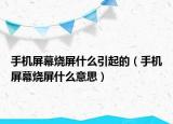 手机屏幕烧屏什么引起的（手机屏幕烧屏什么意思）