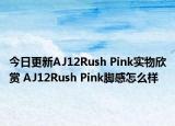 今日更新AJ12Rush Pink实物欣赏 AJ12Rush Pink脚感怎么样