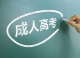 今日更新自学考试和成人高考（什么是成人高考）