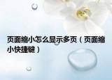 页面缩小怎么显示多页（页面缩小快捷键）