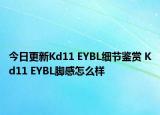 今日更新Kd11 EYBL细节鉴赏 Kd11 EYBL脚感怎么样