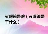 vr眼镜是啥（vr眼镜是干什么）
