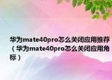 华为mate40pro怎么关闭应用推荐（华为mate40pro怎么关闭应用角标）