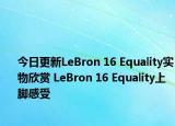今日更新LeBron 16 Equality实物欣赏 LeBron 16 Equality上脚感受