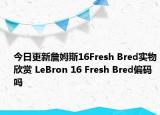 今日更新詹姆斯16Fresh Bred实物欣赏 LeBron 16 Fresh Bred偏码吗