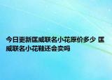 今日更新匡威联名小花原价多少 匡威联名小花鞋还会卖吗