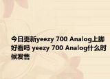 今日更新yeezy 700 Analog上脚好看吗 yeezy 700 Analog什么时候发售