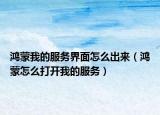 鸿蒙我的服务界面怎么出来（鸿蒙怎么打开我的服务）