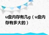 u盘内存有几g（u盘内存有多大的）
