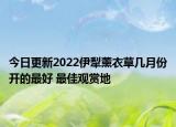 今日更新2022伊犁薰衣草几月份开的最好 最佳观赏地