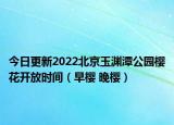 今日更新2022北京玉渊潭公园樱花开放时间（早樱 晚樱）