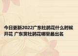 今日更新2022广东杜鹃花什么时候开花 广东赏杜鹃花哪里最出名