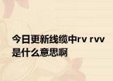 今日更新线缆中rv rvv是什么意思啊
