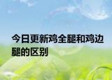 今日更新鸡全腿和鸡边腿的区别