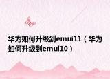 华为如何升级到emui11（华为如何升级到emui10）