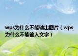 wps为什么不能输出图片（wps为什么不能输入文字）