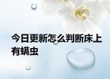 今日更新怎么判断床上有螨虫