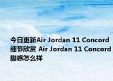 今日更新Air Jordan 11 Concord细节欣赏 Air Jordan 11 Concord脚感怎么样