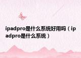 ipadpro是什么系统好用吗（ipadpro是什么系统）