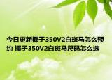 今日更新椰子350V2白斑马怎么预约 椰子350V2白斑马尺码怎么选