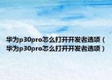 华为p30pro怎么打开开发者选项（华为p30pro怎么打开开发者选项）