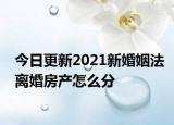 今日更新2021新婚姻法离婚房产怎么分