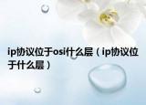 ip协议位于osi什么层（ip协议位于什么层）