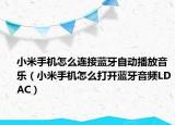 小米手机怎么连接蓝牙自动播放音乐（小米手机怎么打开蓝牙音频LDAC）