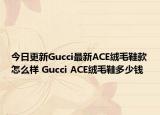 今日更新Gucci最新ACE绒毛鞋款怎么样 Gucci ACE绒毛鞋多少钱