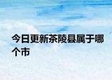 今日更新茶陵县属于哪个市
