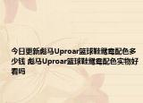 今日更新彪马Uproar篮球鞋鸳鸯配色多少钱 彪马Uproar篮球鞋鸳鸯配色实物好看吗