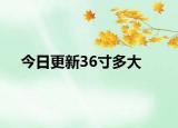 今日更新36寸多大