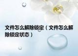 文件怎么解除锁定（文件怎么解除锁定状态）
