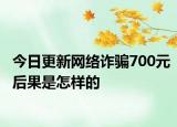今日更新网络诈骗700元后果是怎样的