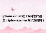 iphonexsmax双卡双待怎样设置（iphonexsmax双卡双待吗）
