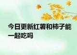今日更新红薯和柿子能一起吃吗