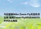 今日更新Nike Zoom Fly天蓝色怎么样 耐克Zoom FlyAEGEANSTORM怎么购买
