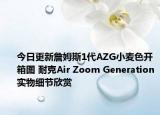 今日更新詹姆斯1代AZG小麦色开箱图 耐克Air Zoom Generation实物细节欣赏