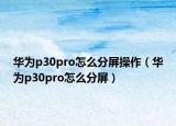 华为p30pro怎么分屏操作（华为p30pro怎么分屏）