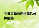 今日更新蒸鸡蛋羹几分钟能熟
