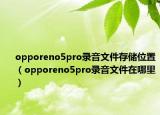 opporeno5pro录音文件存储位置（opporeno5pro录音文件在哪里）