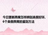 今日更新燕窝怎样辨别真假好坏,6个真假燕窝的鉴别方法