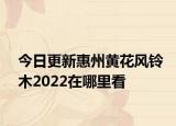 今日更新惠州黄花风铃木2022在哪里看