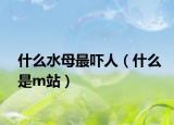 什么水母最吓人（什么是m站）