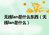 无线lan是什么东西（无线lan是什么）
