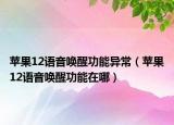 苹果12语音唤醒功能异常（苹果12语音唤醒功能在哪）